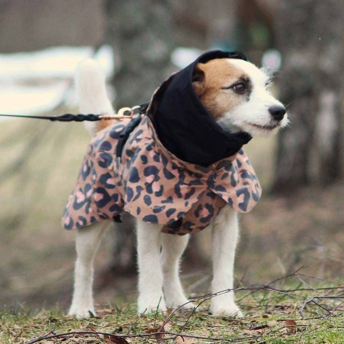 PAIKKA Visibility Raincoat Lite, leo