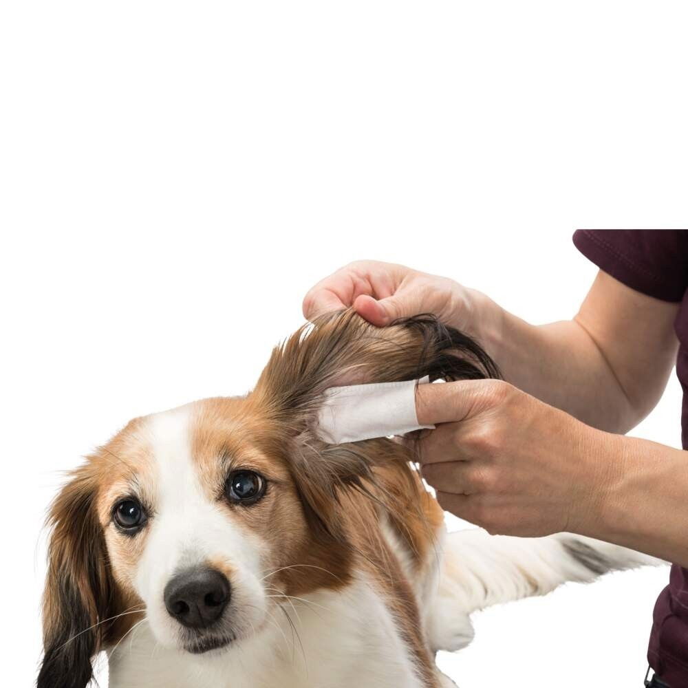 Trixie Fingerpads för öron med Aloe Vera