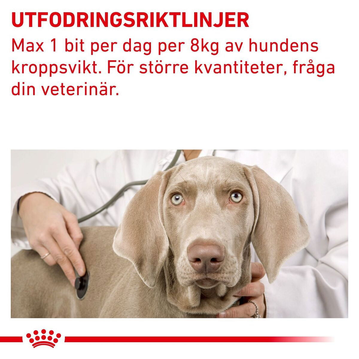 Royal Canin Veterinary Diets Dog Pill Assist M/L 225g