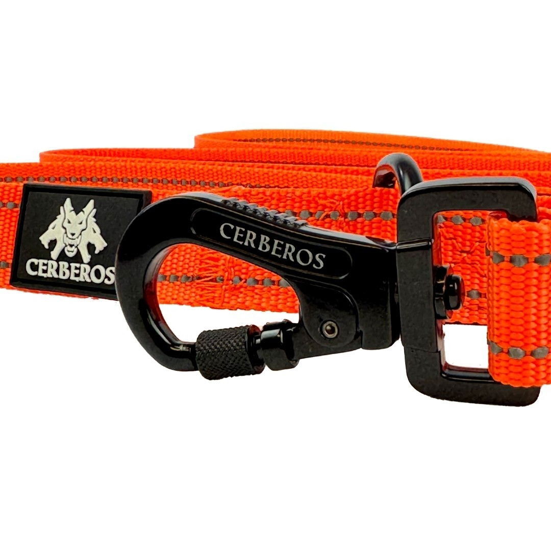 Cerberos Dog Leash Orange, 3m