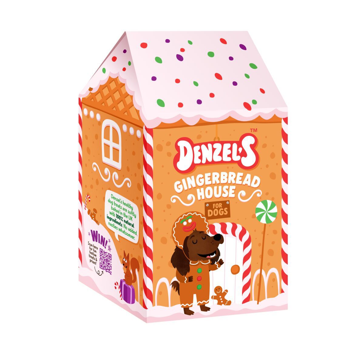 Denzel’s Gingerbread House Presentask till Hund med Julgodis
