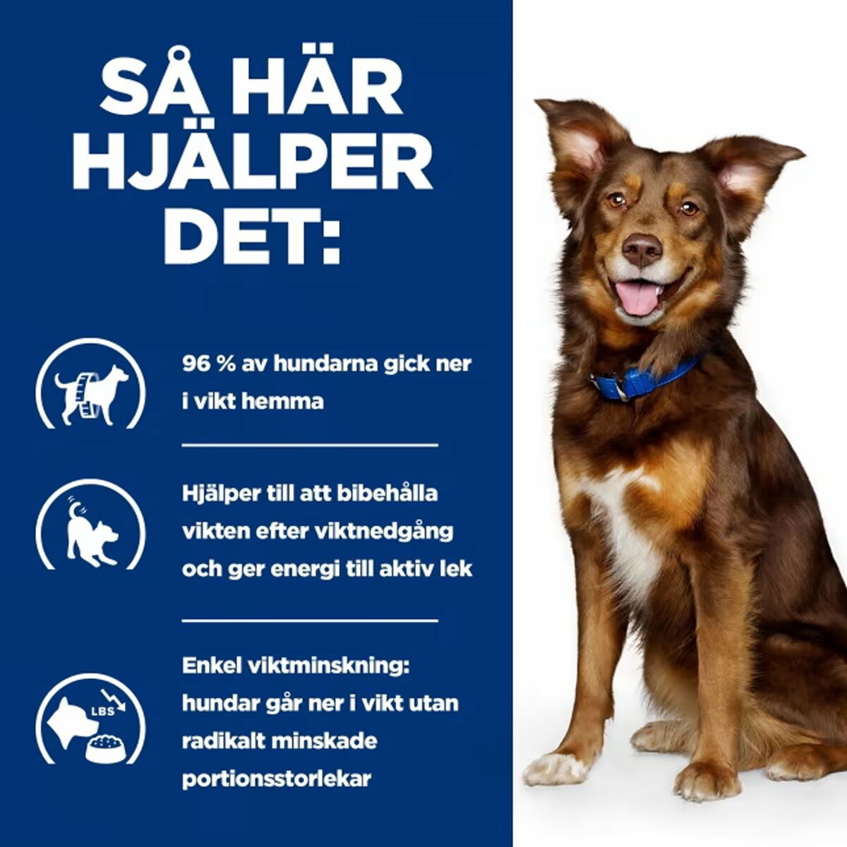 Hill's Prescription Diet Canine Metabolic Weight Loss & Maintenace Chicken 2x12 kg