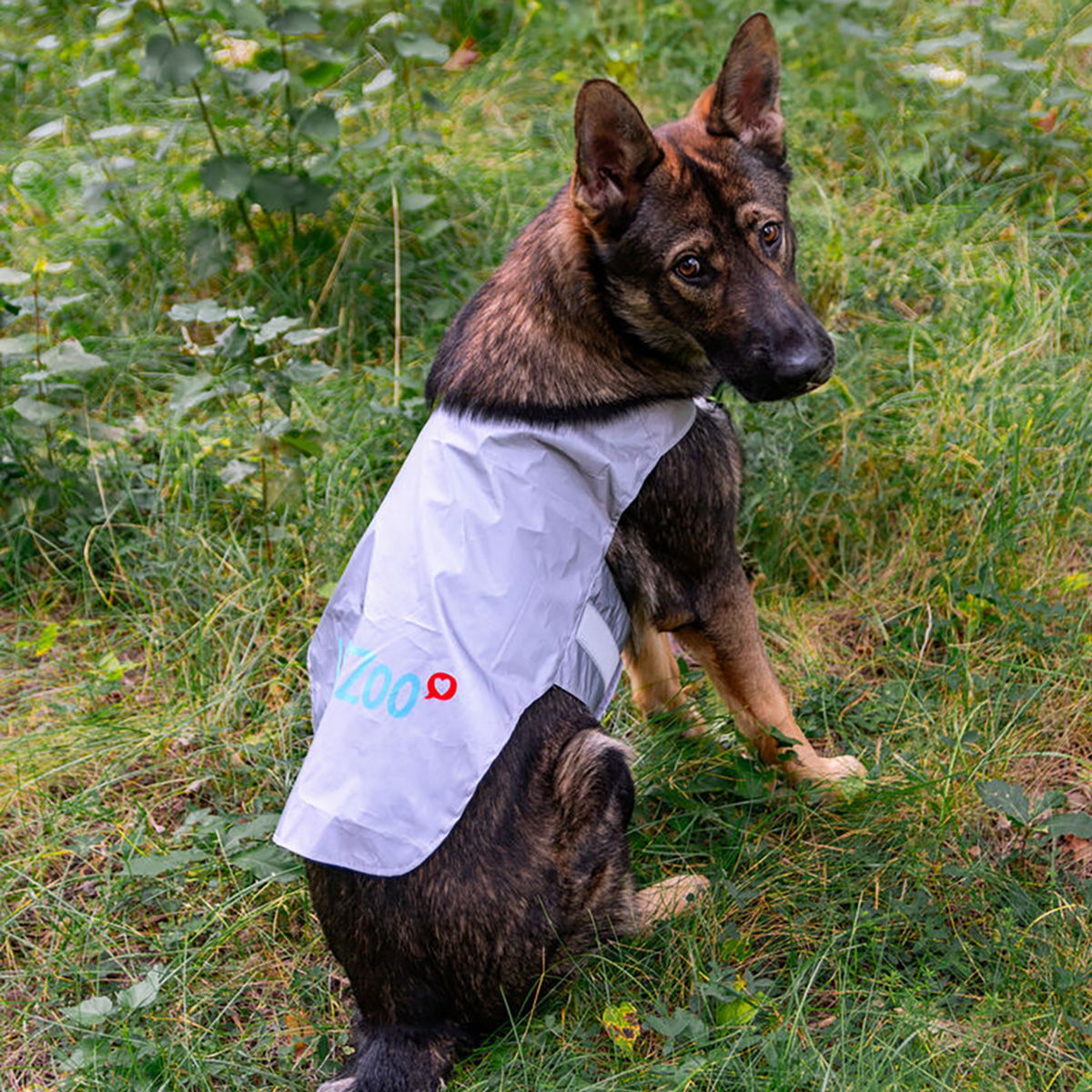 Icepeak Pet Brightly visibility vest VetZoo