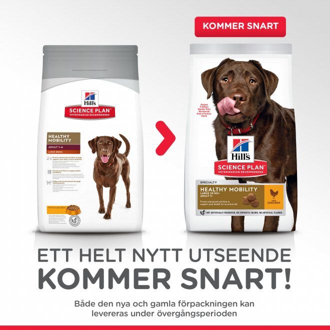 Hill's Science Plan Dog HM Large Breed Chicken