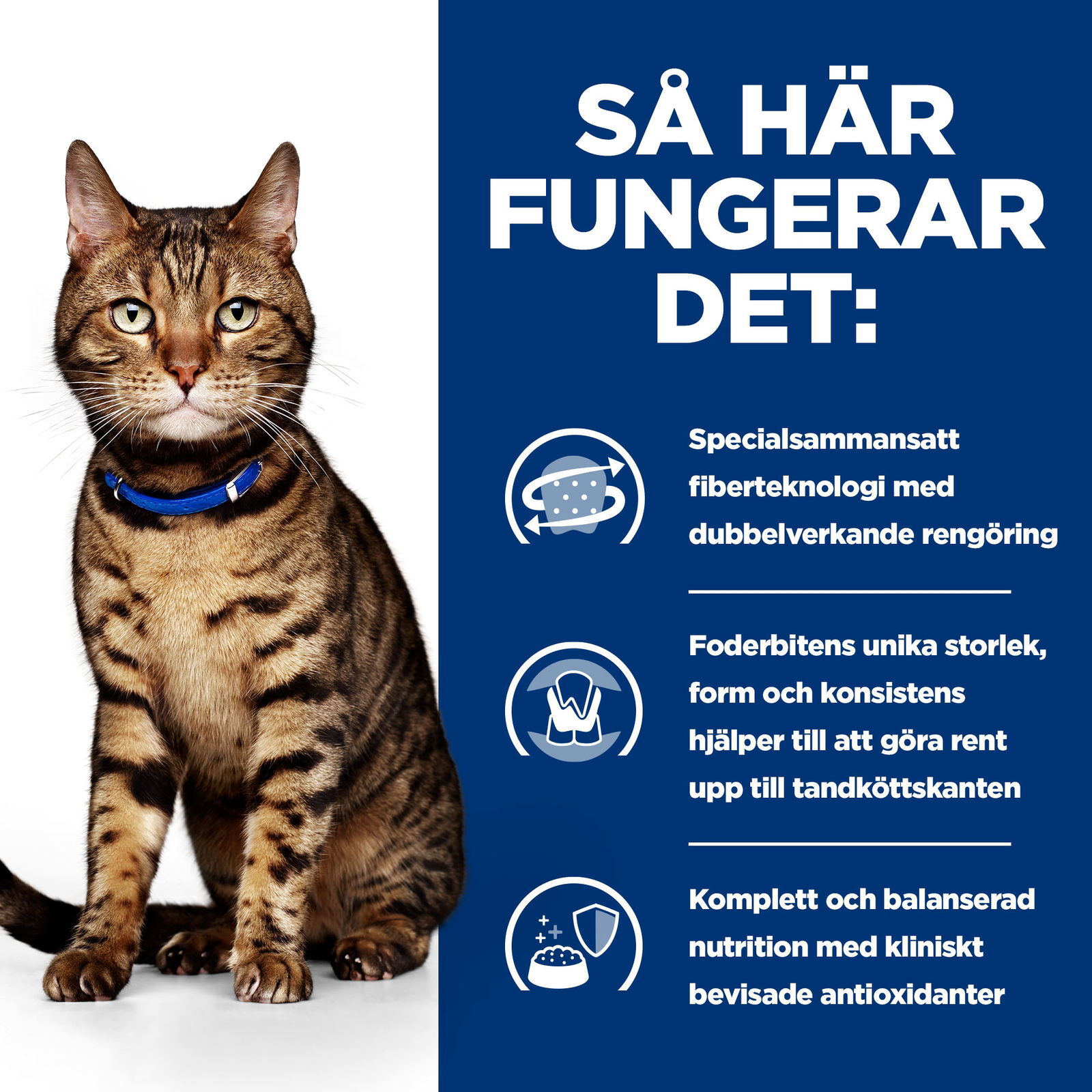 Hills Diet Cat t/d 1,5kg