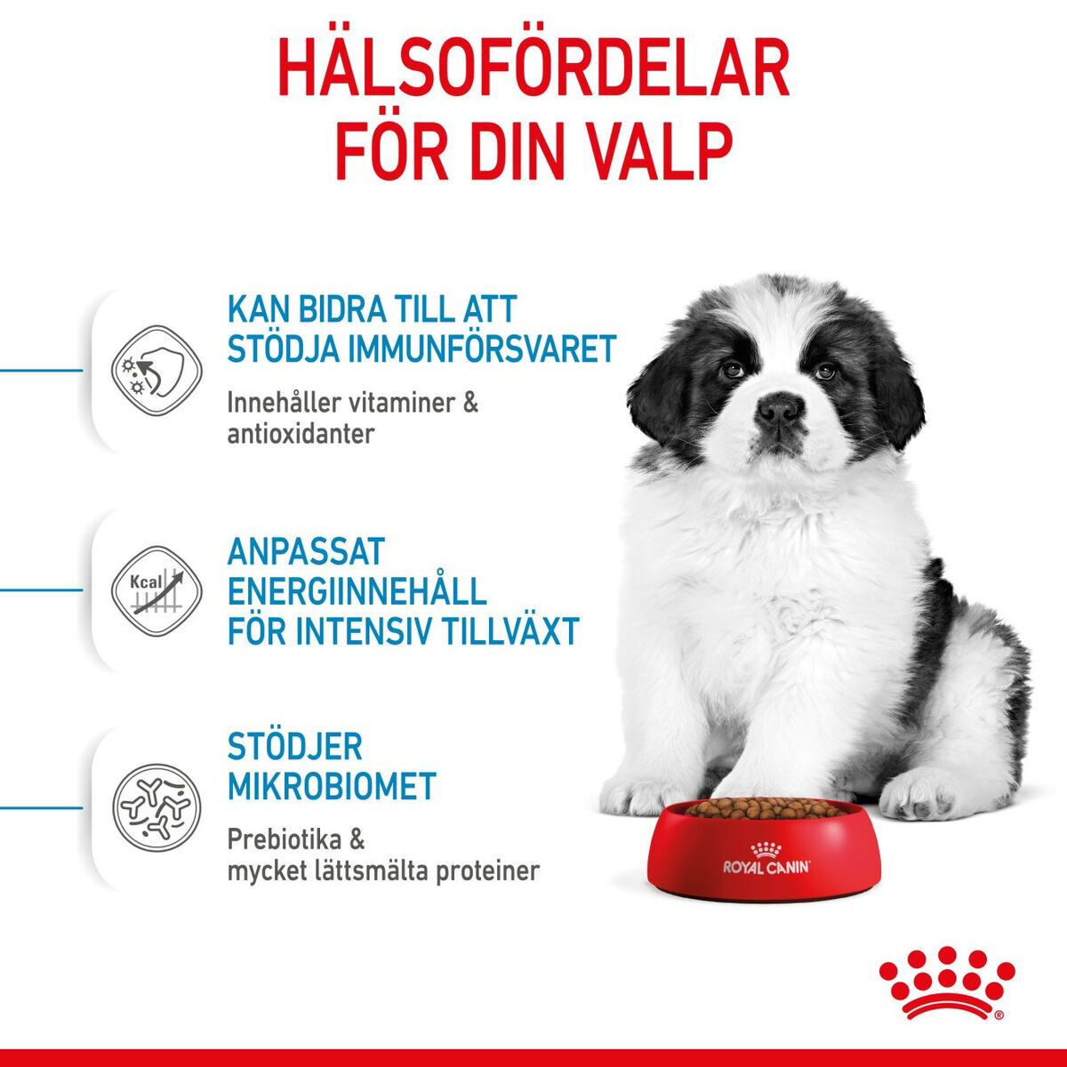 Royal Canin Giant Puppy torrfoder för hundvalp