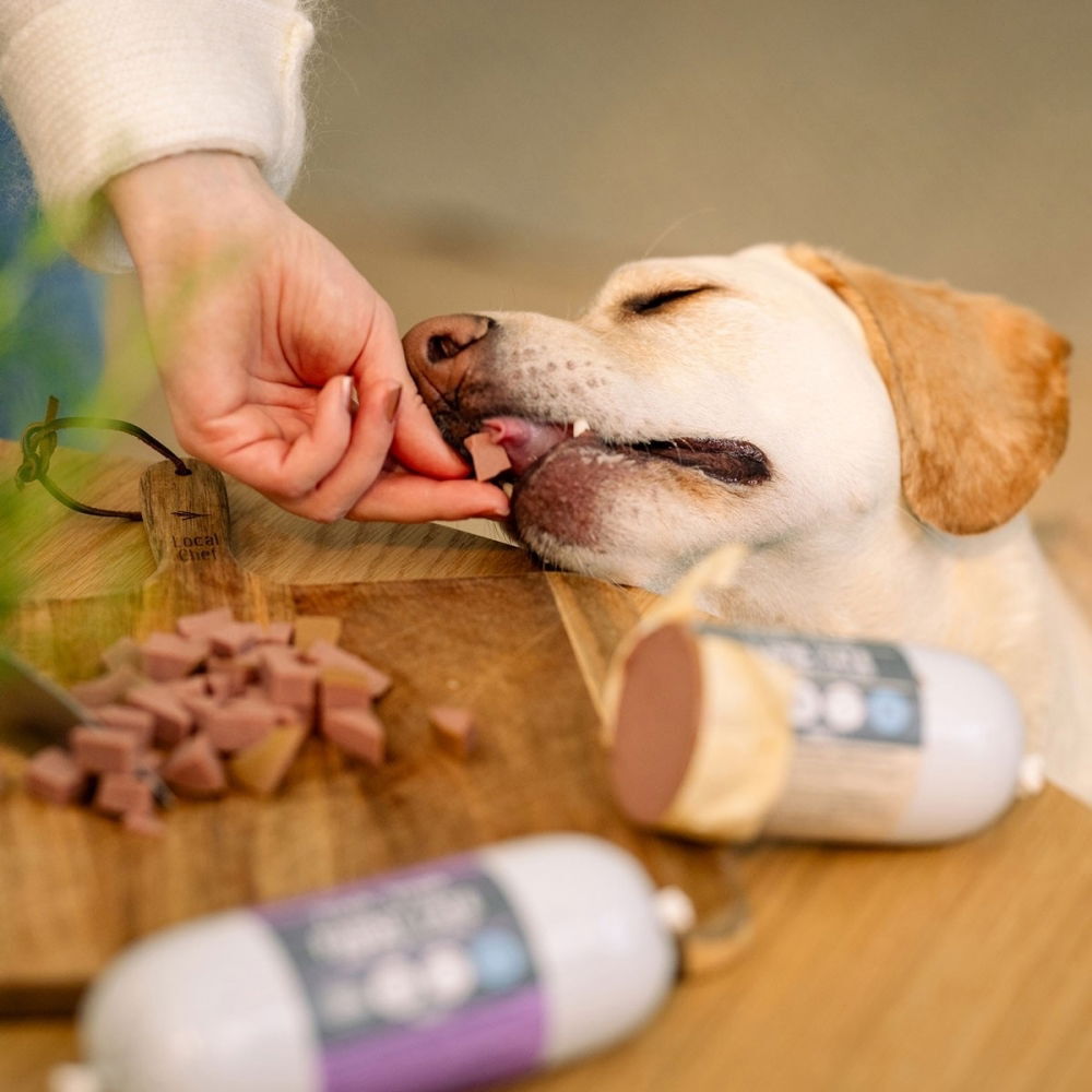 Trick&Treat Paté Sausage Rabbit