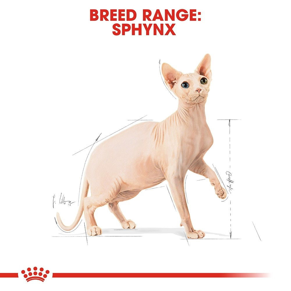 Royal Canin Sphynx Adult torrfoder för katt