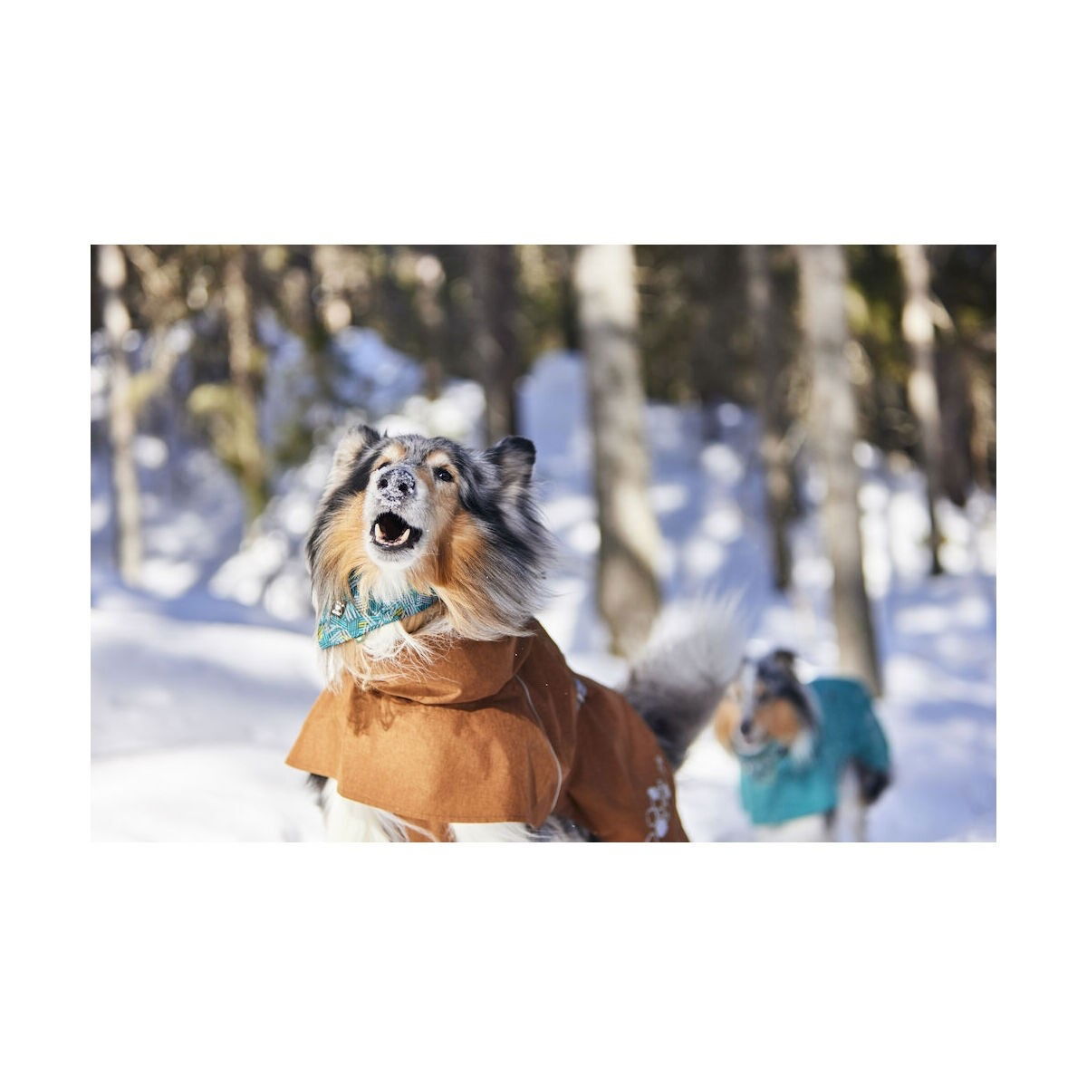 Hurtta Monsoon Coat II ECO desert