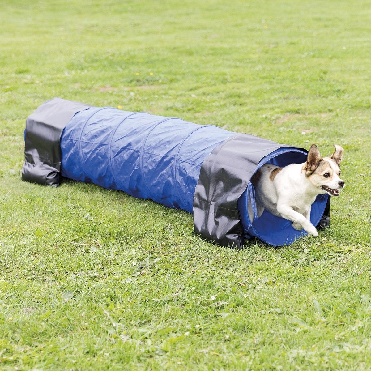 Trixie Agility Tunnel 40 x 200 cm