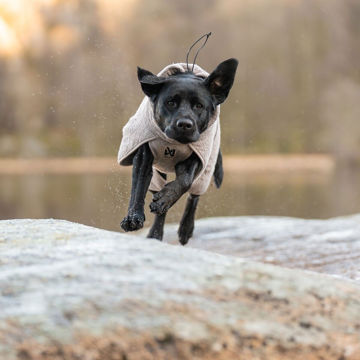 Non-stop dogwear Drying coat sand