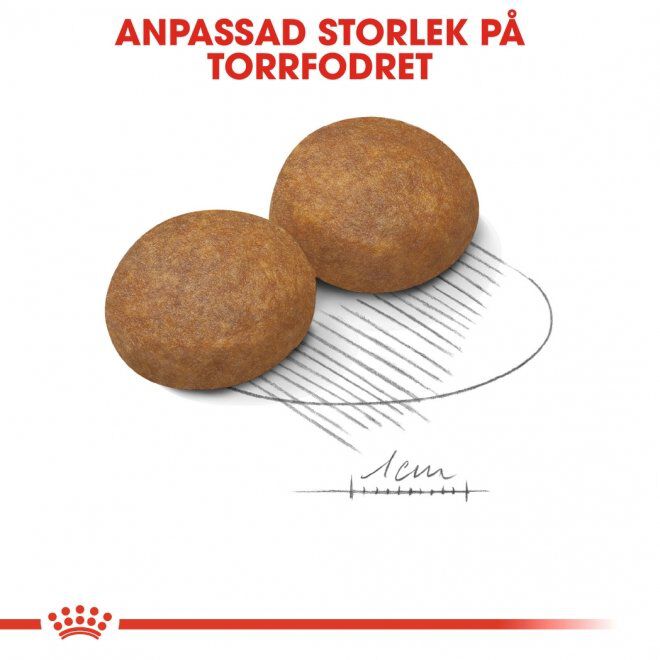 Royal Canin Maxi Adult 5+ torrfoder för hund