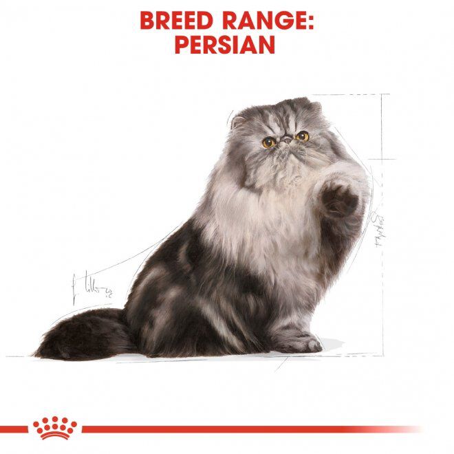 Royal Canin Persian Adult torrfoder för katt