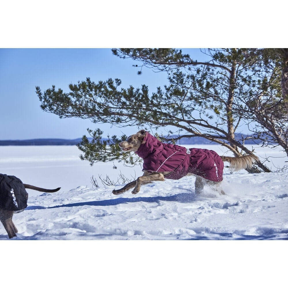 Hurtta Extreme Warmer III ECO eggplant