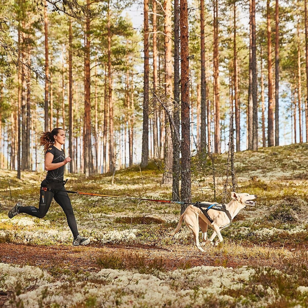 Non-stop Freemotion Dragsele 