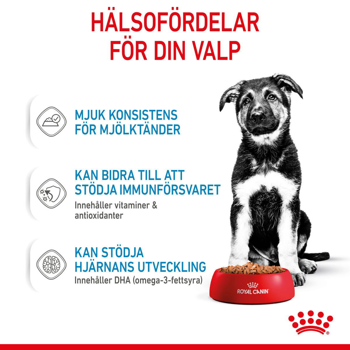 Royal Canin Maxi Puppy Gravy våtfoder för hundvalp