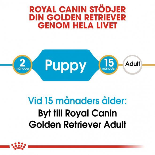 Royal Canin Golden Retriever Puppy torrfoder för hundvalp
