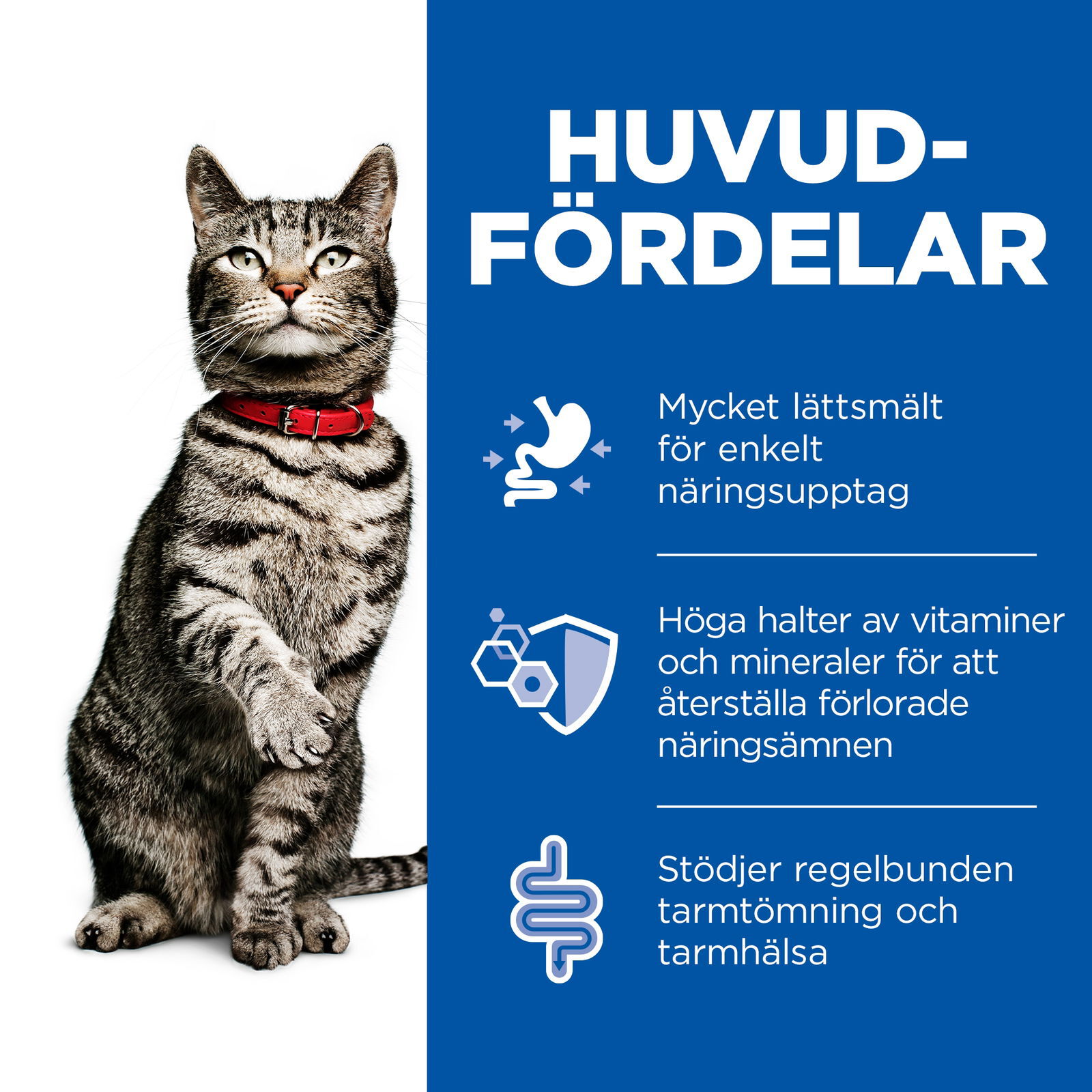 Hill's PRESCRIPTION i/d Stew för katter Kyckling&grönsaker 