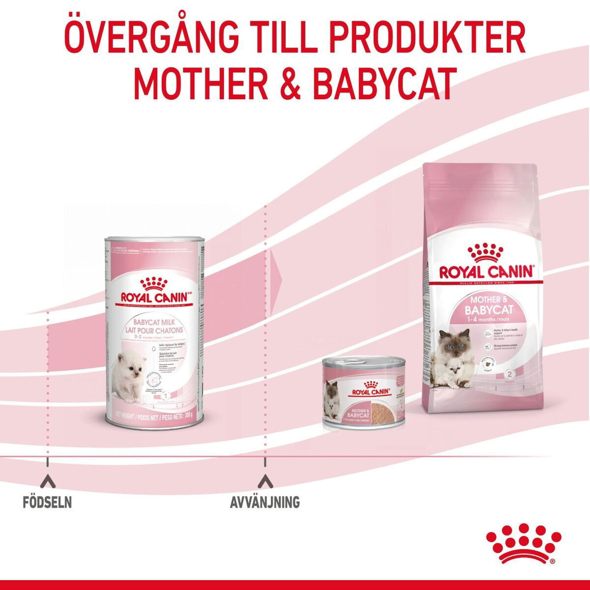 Royal Canin Babycat Milk mjölk för kattunge