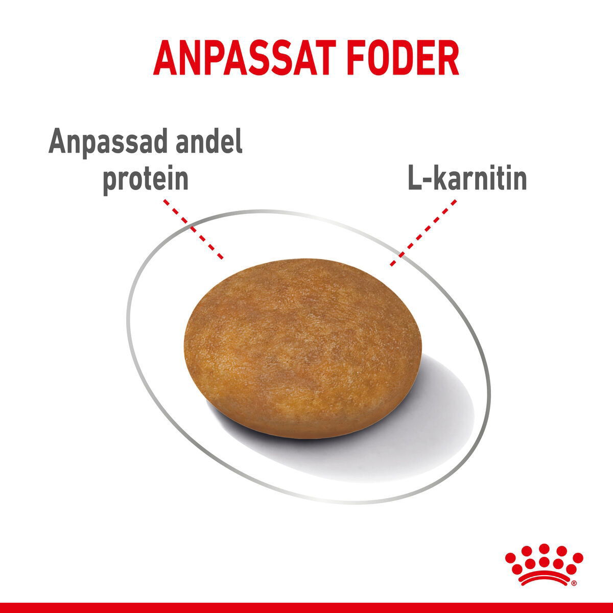 Royal Canin Light Weight Care X-small Adult torrfoder för hund