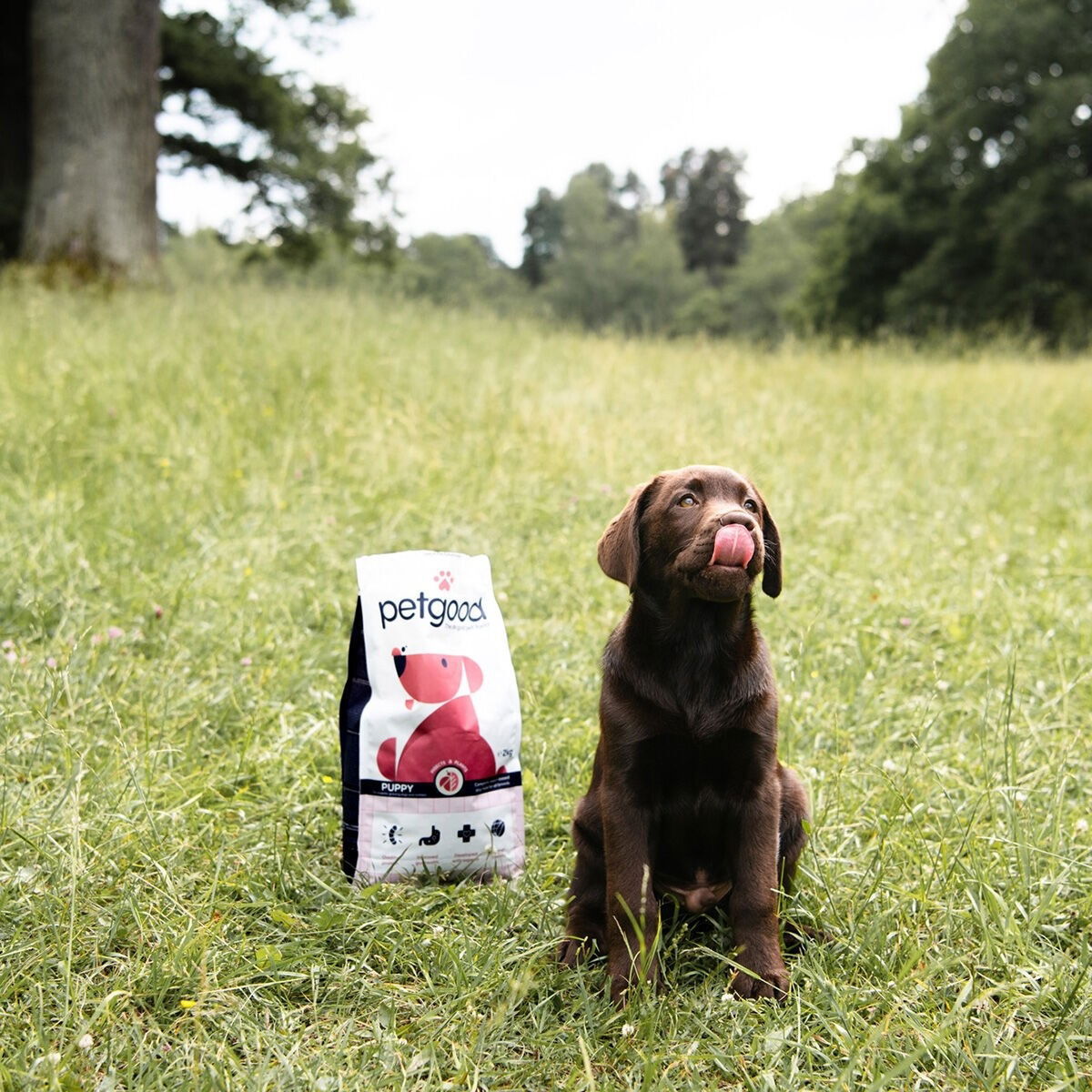 Petgood insect-dog food, pup, junior, nursing dogs