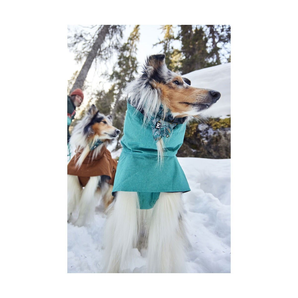 Hurtta Monsoon Coat II ECO peacock