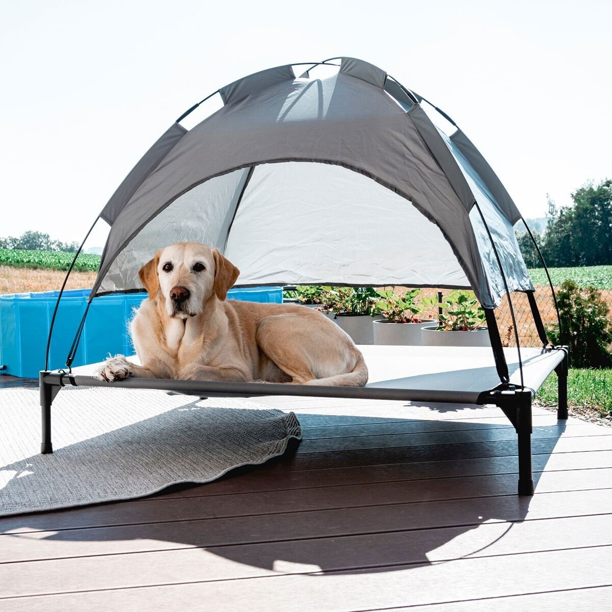 Dog Couch Vacation Top grey