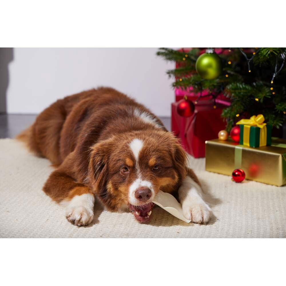 RAUH! Christmas Gingerbread Chew