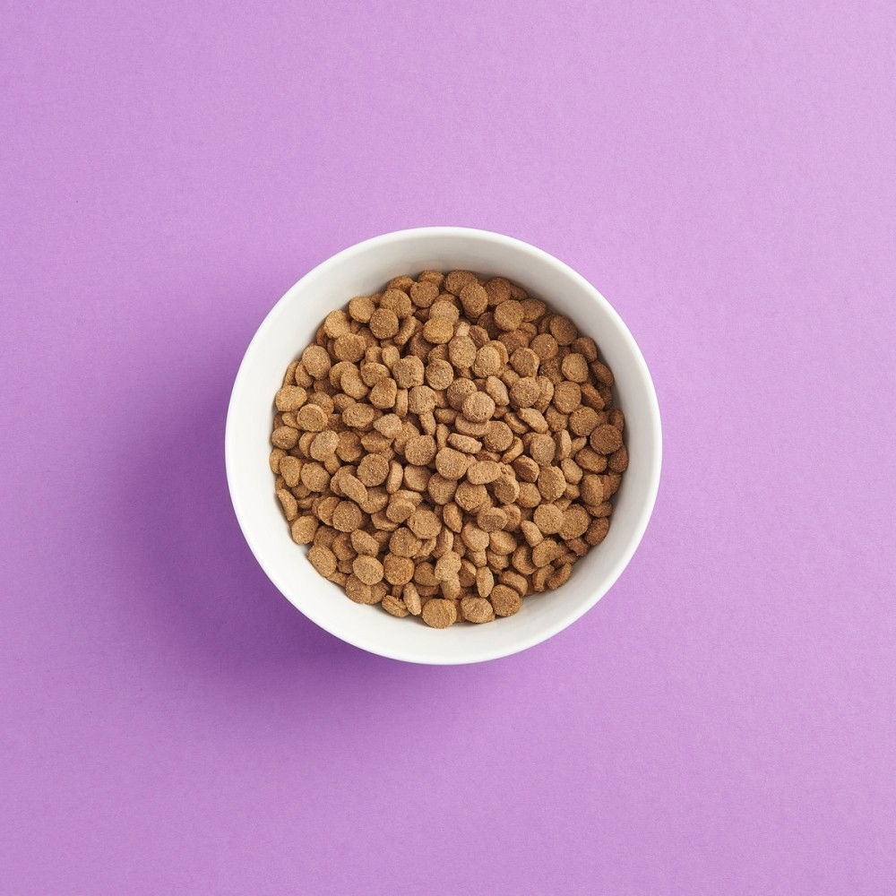 SMAAK Cat Sterilised Chicken