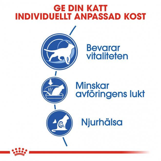 Royal Canin Indoor 7+ Ageing torrfoder för katt