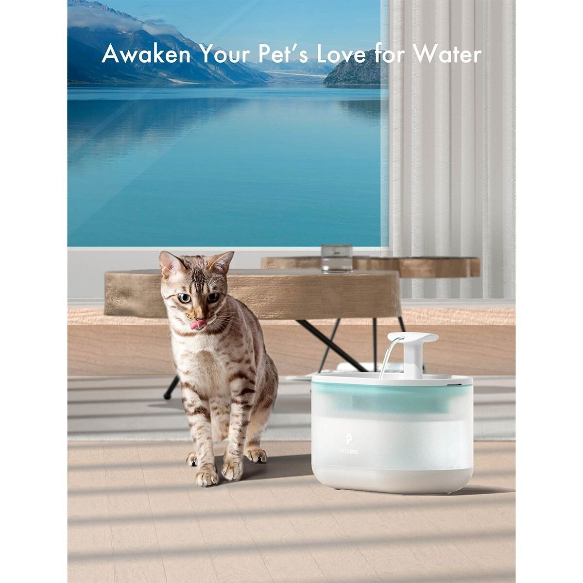 Petlibro Capsule Water Fountain Blue