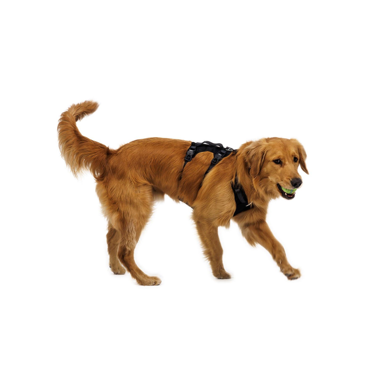 Ruffwear Ridgeline Harness Obsidian Black