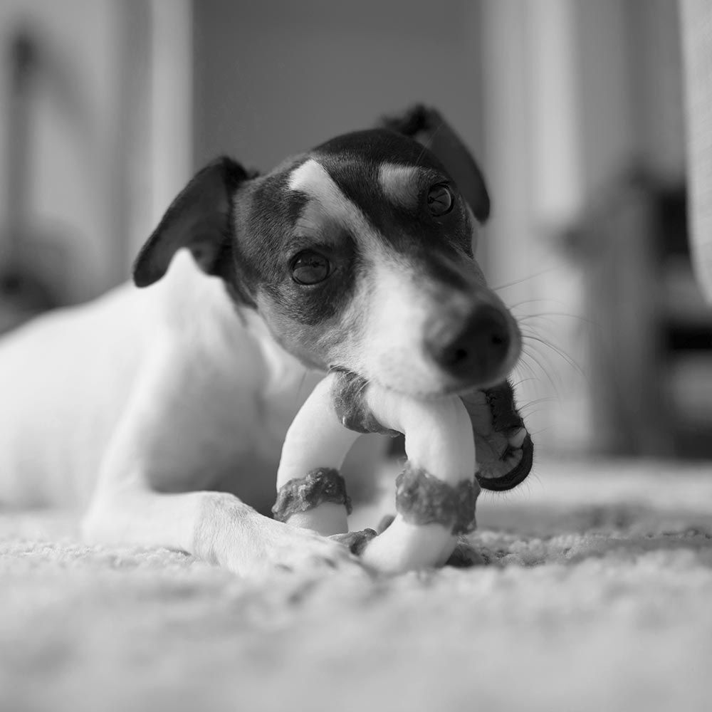 POCCA Buffalo Tuggring Råhud 2st