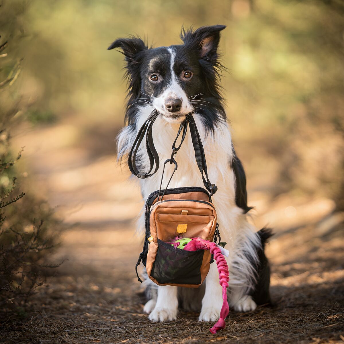 Woolly Wolf Hydration Shoulder Bag Wood Brown Mix