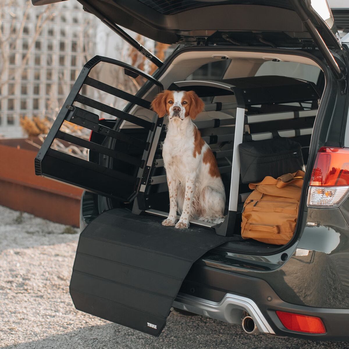 Thule Accessory Storage Bag