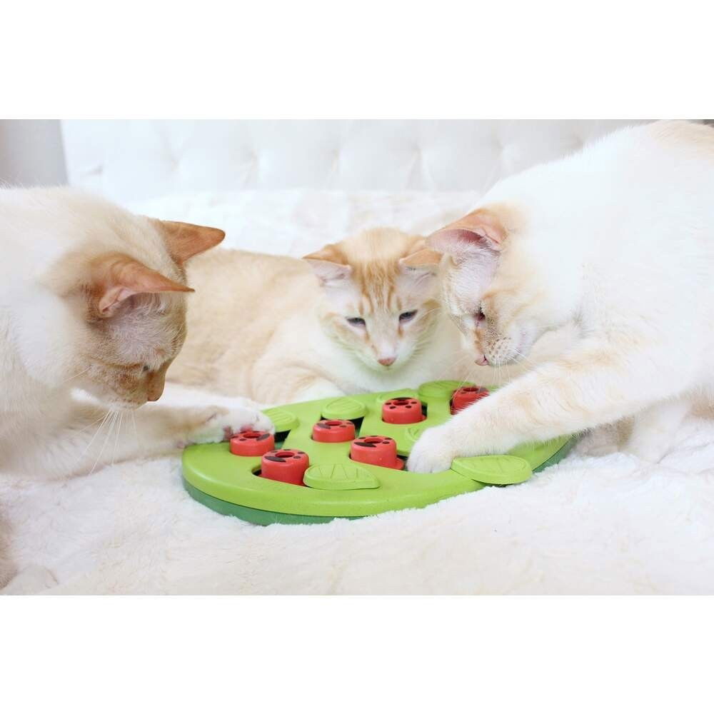 Nina Ottosson Cat Buggin’Out Puzzle & Play Green