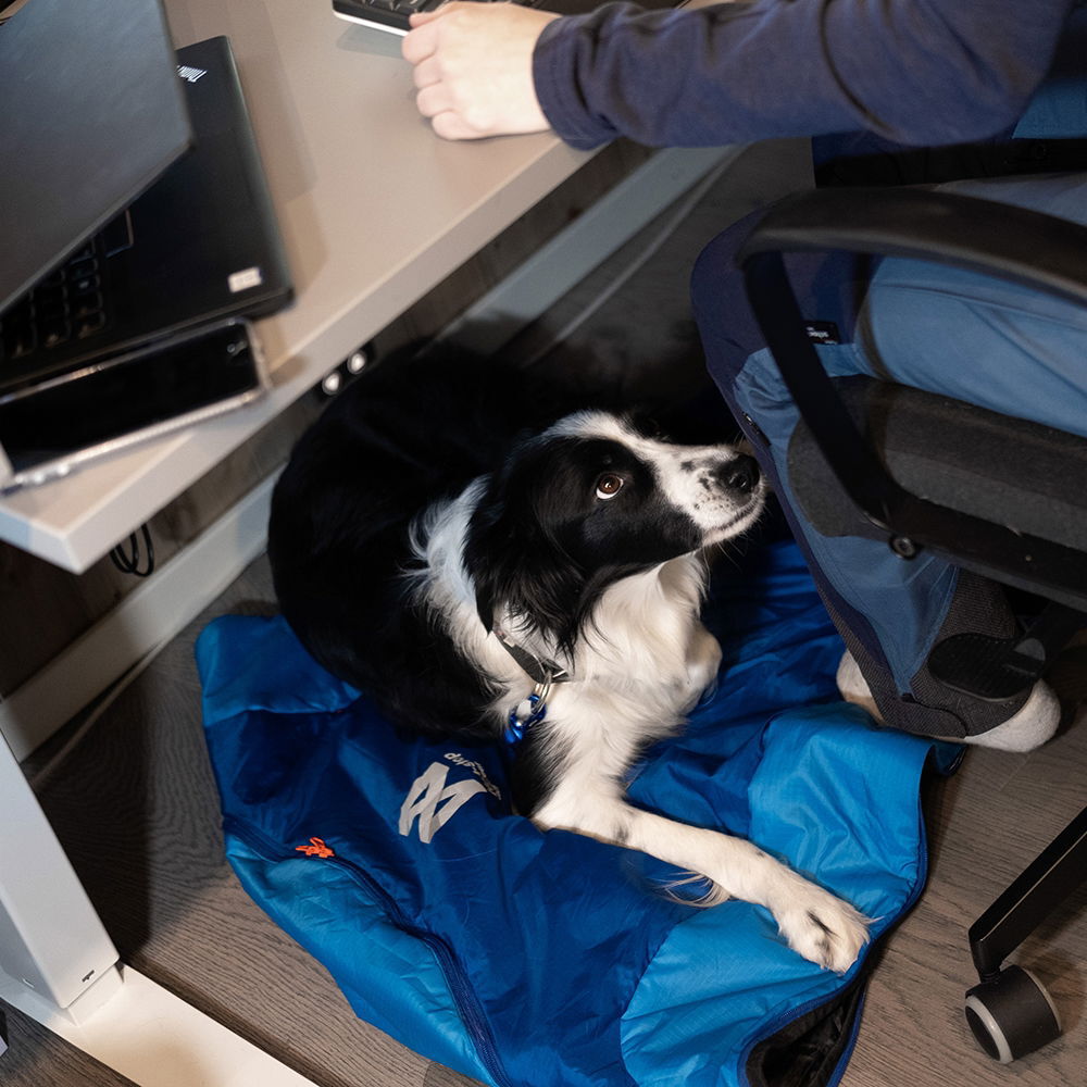 Ly Sleepingbag for dog