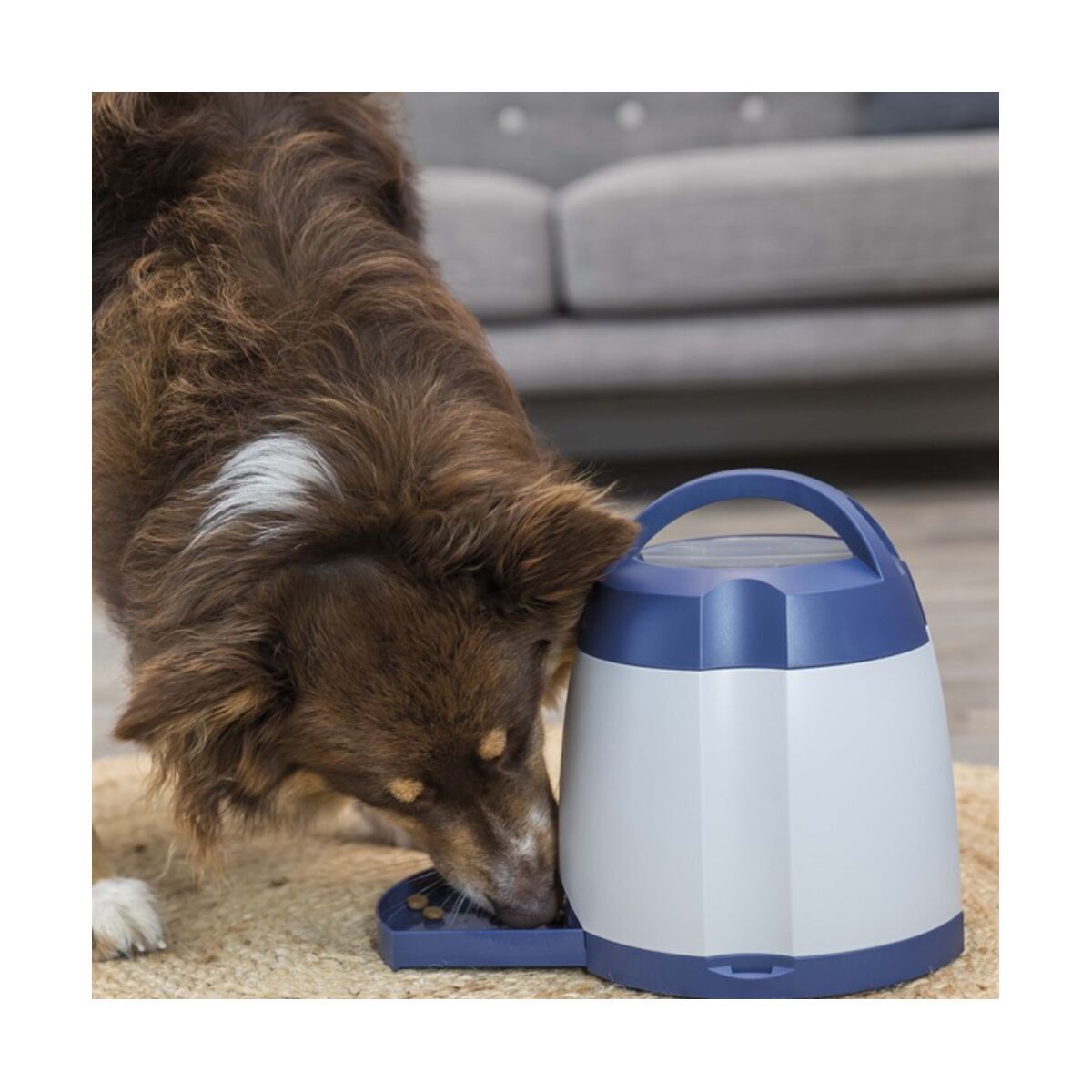 Trixie Hund Aktivitet Minnespel