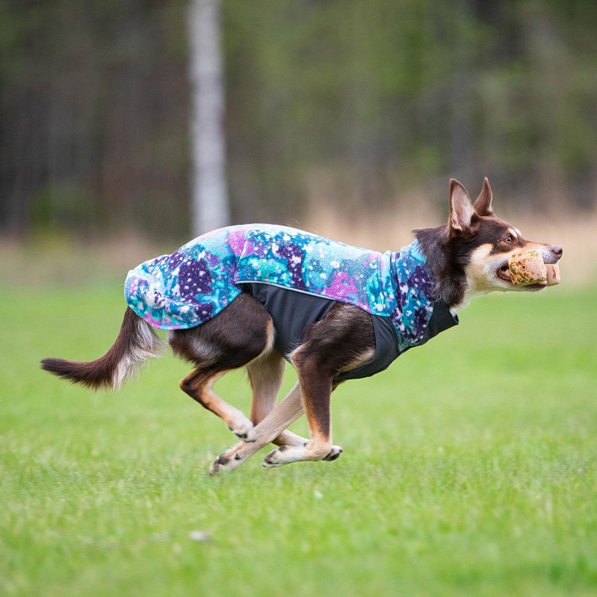 Jumppa Pomppa, Aurora