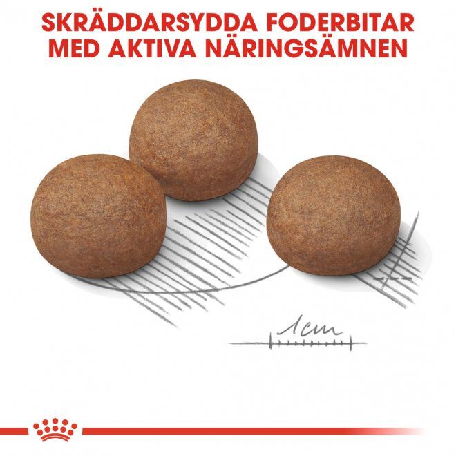 Royal Canin Maxi Digestive Care