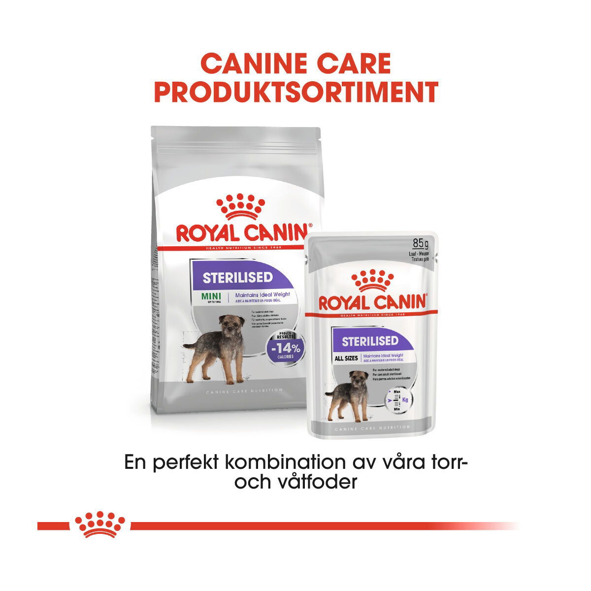 Royal Canin Sterilised Adult Loaf våtfoder för hund
