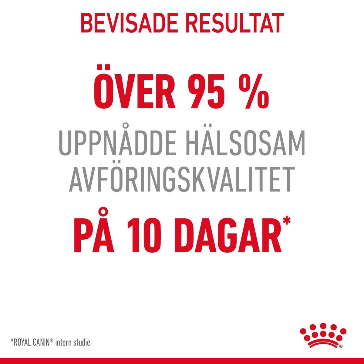 Royal Canin Digestive Care Adult torrfoder för katt