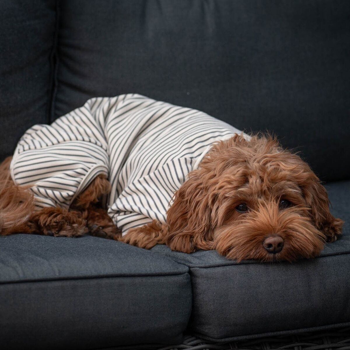 51 Degrees North Sweet dreams PJ, grey stripes