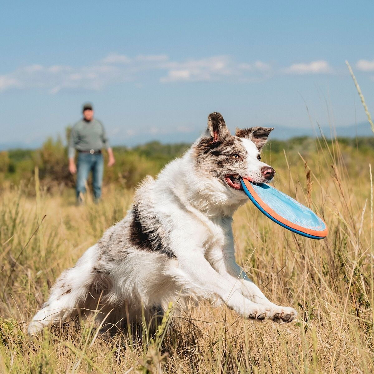 Chuckit MaxGlow Paraflight L