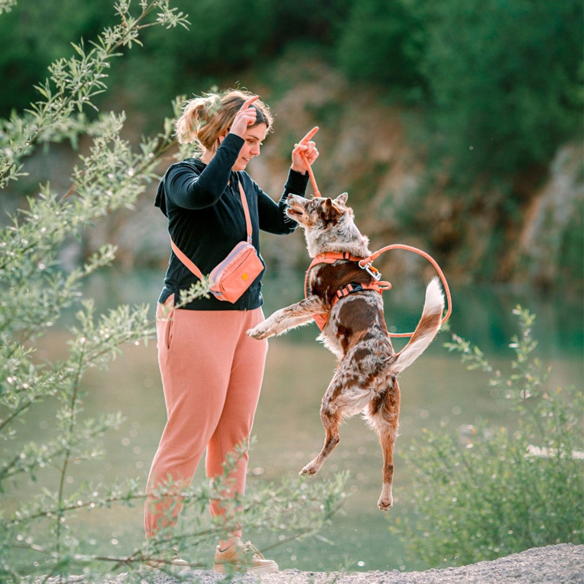 Woolly Wolf Roam Harness Salmon Pink Ripple