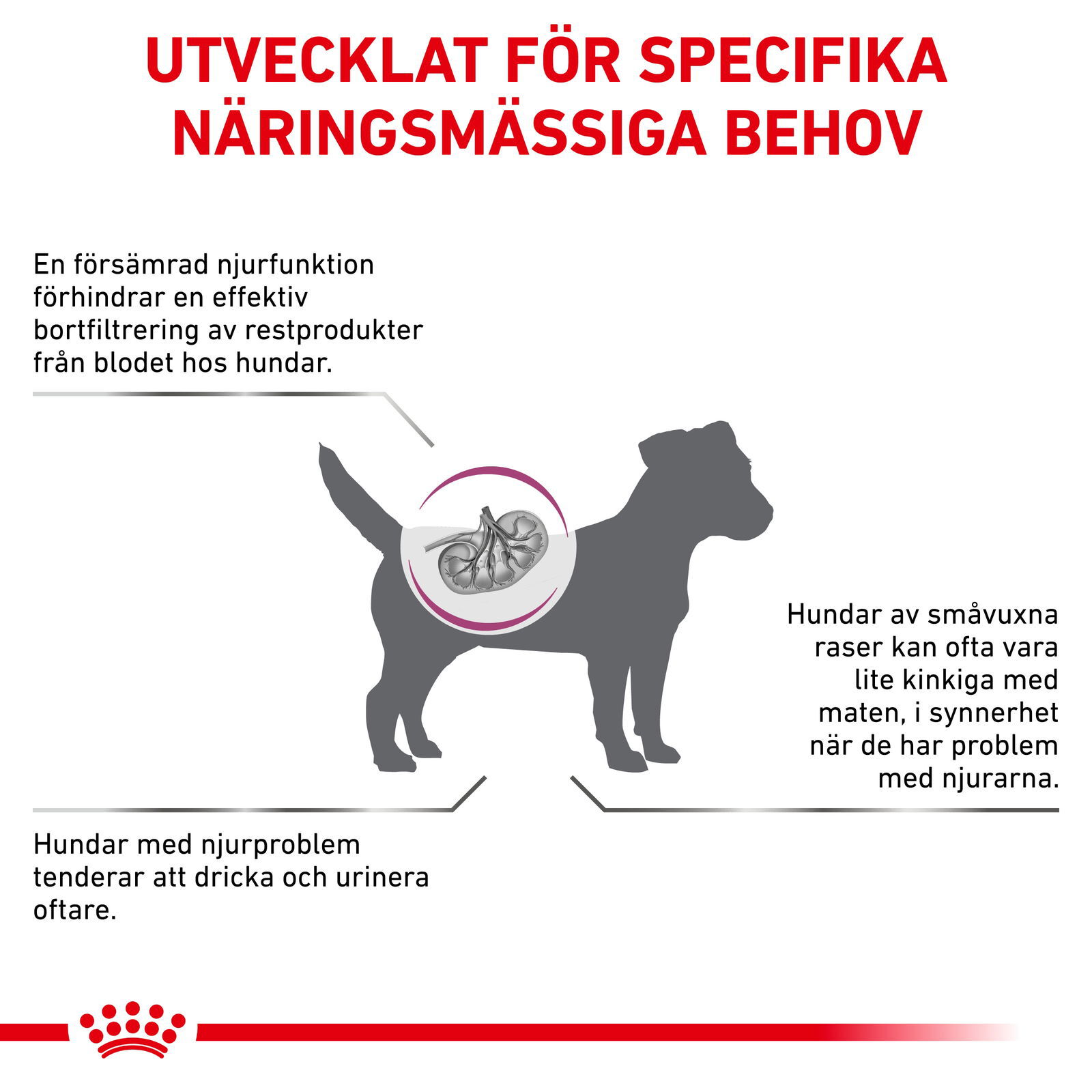 Royal Canin Veterinary Diets Vital Renal Small Dog torrfoder för hund