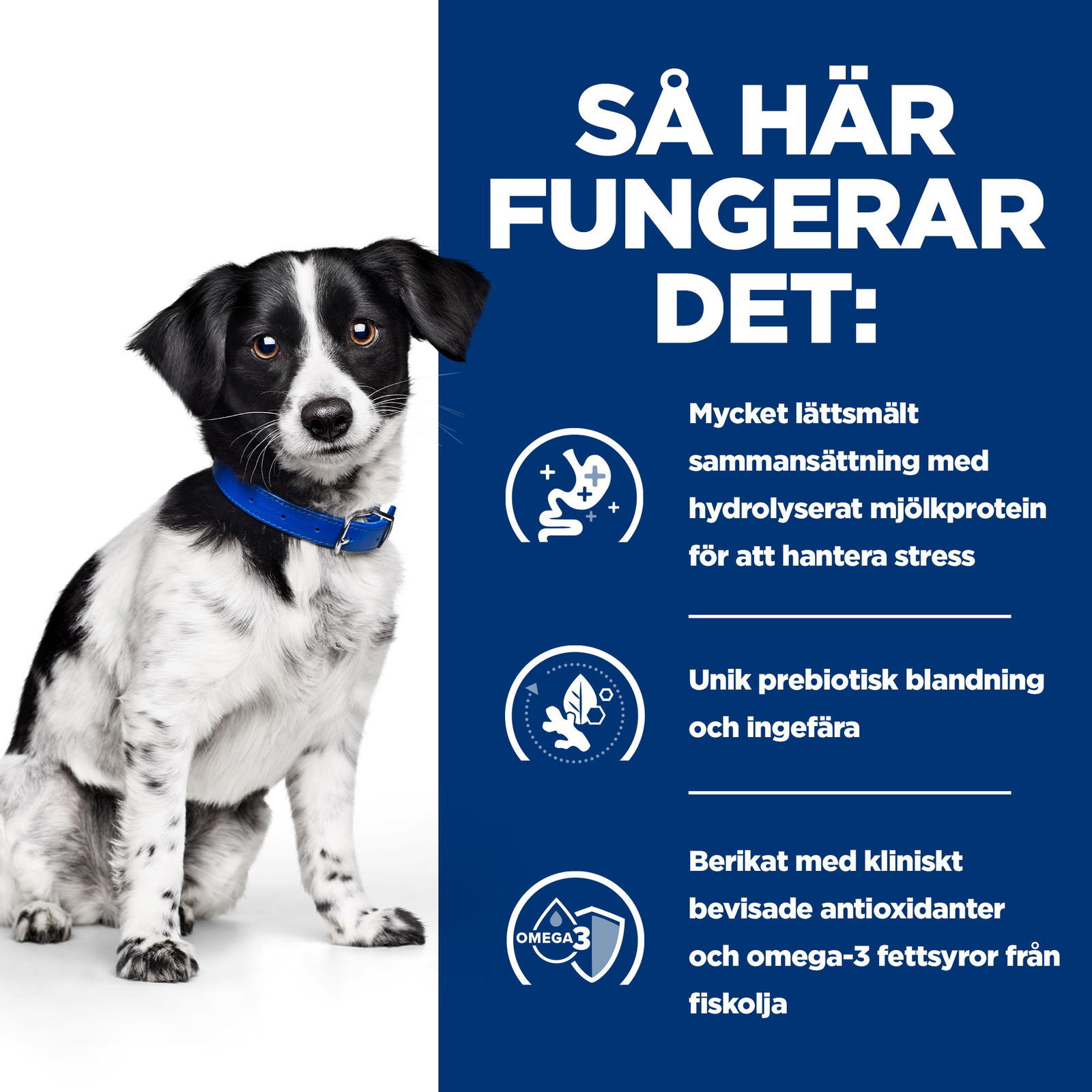 Hill's Diet Dog i/d Stress Mini Chicken