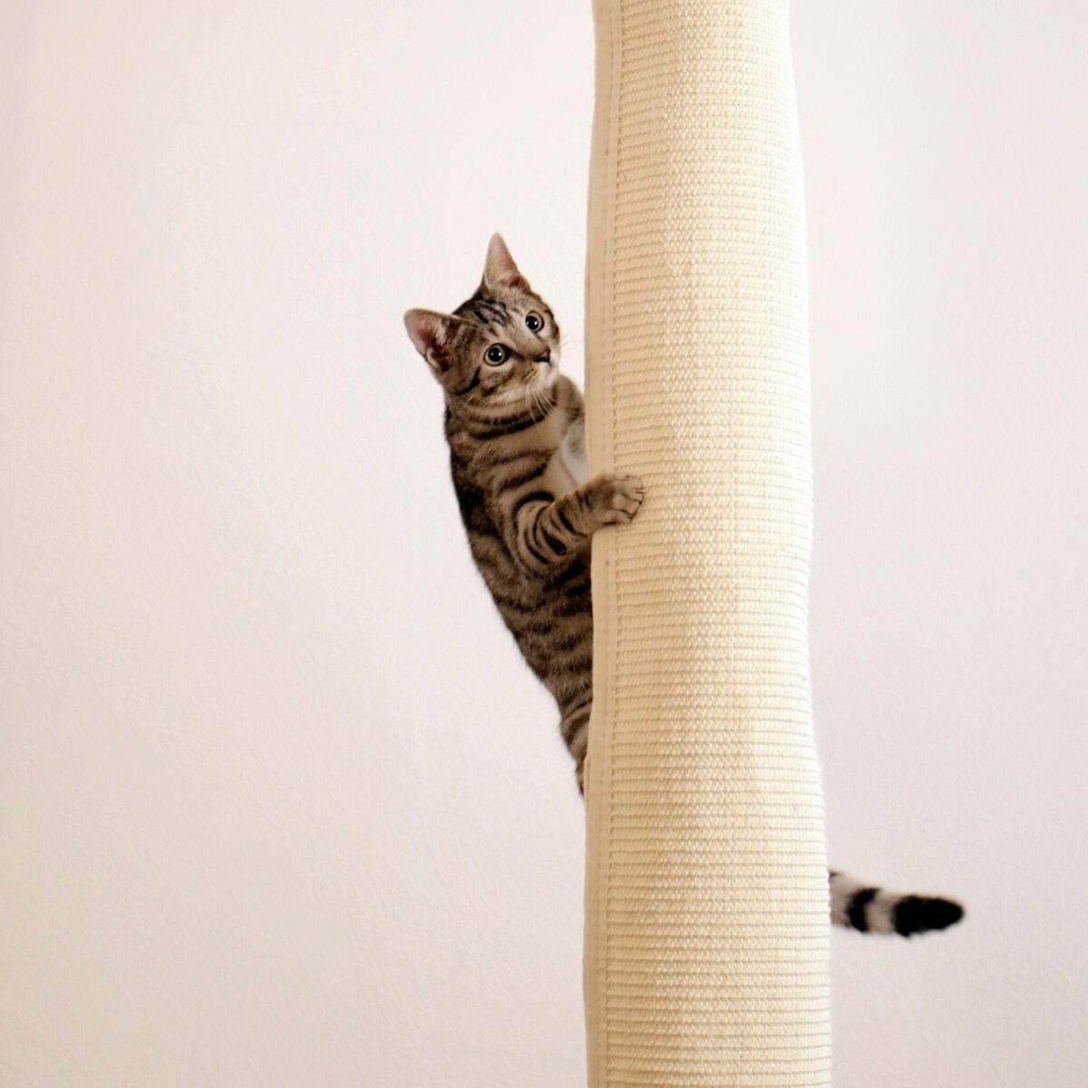 Kerbl Climbing Bag Climber