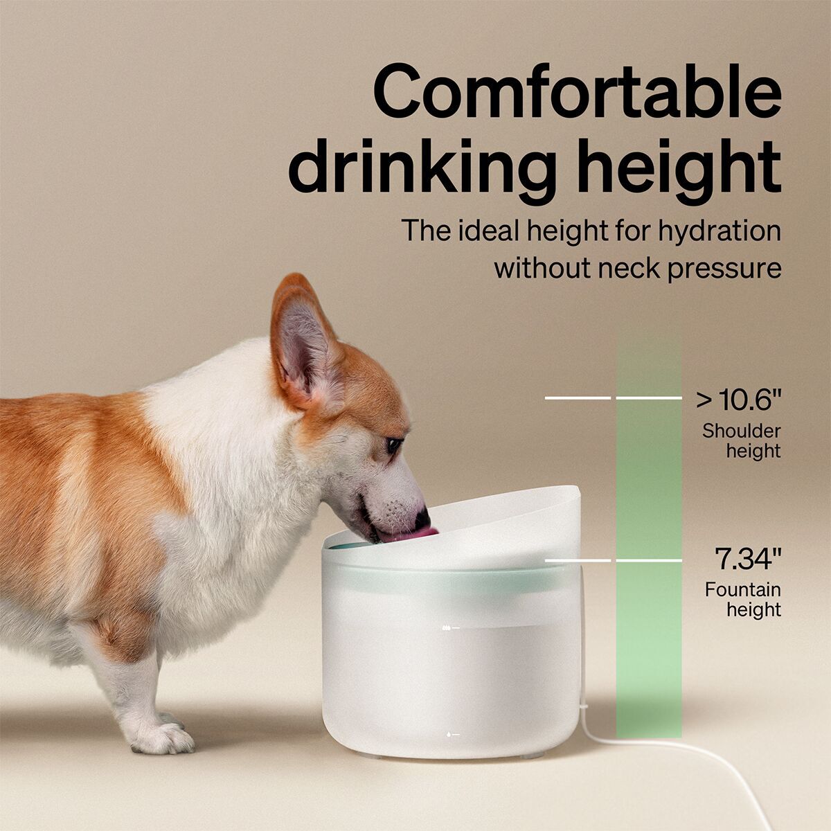 Petlibro Capsule Dog Water Fountain White