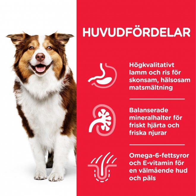 Hill's Science Plan Dog Mature 7+ Lamb & Rice